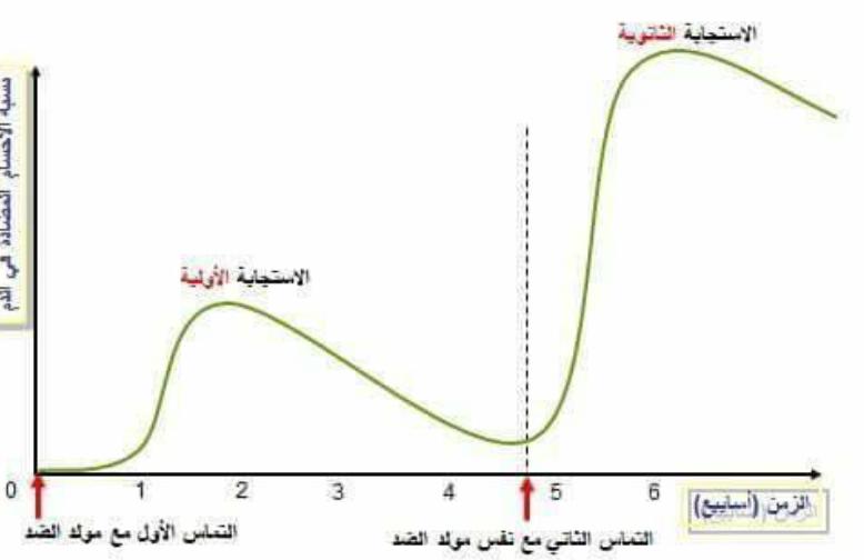 الملخص خصائص الأستجابه المناعيه الخلطيه